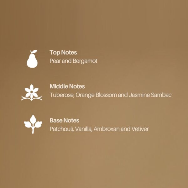 Velvet 11 by Dubai Royal - Image 3
